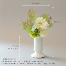 画像6: 御仏壇用のお供え花（ガーベラ（白）とポンポンマム） (6)